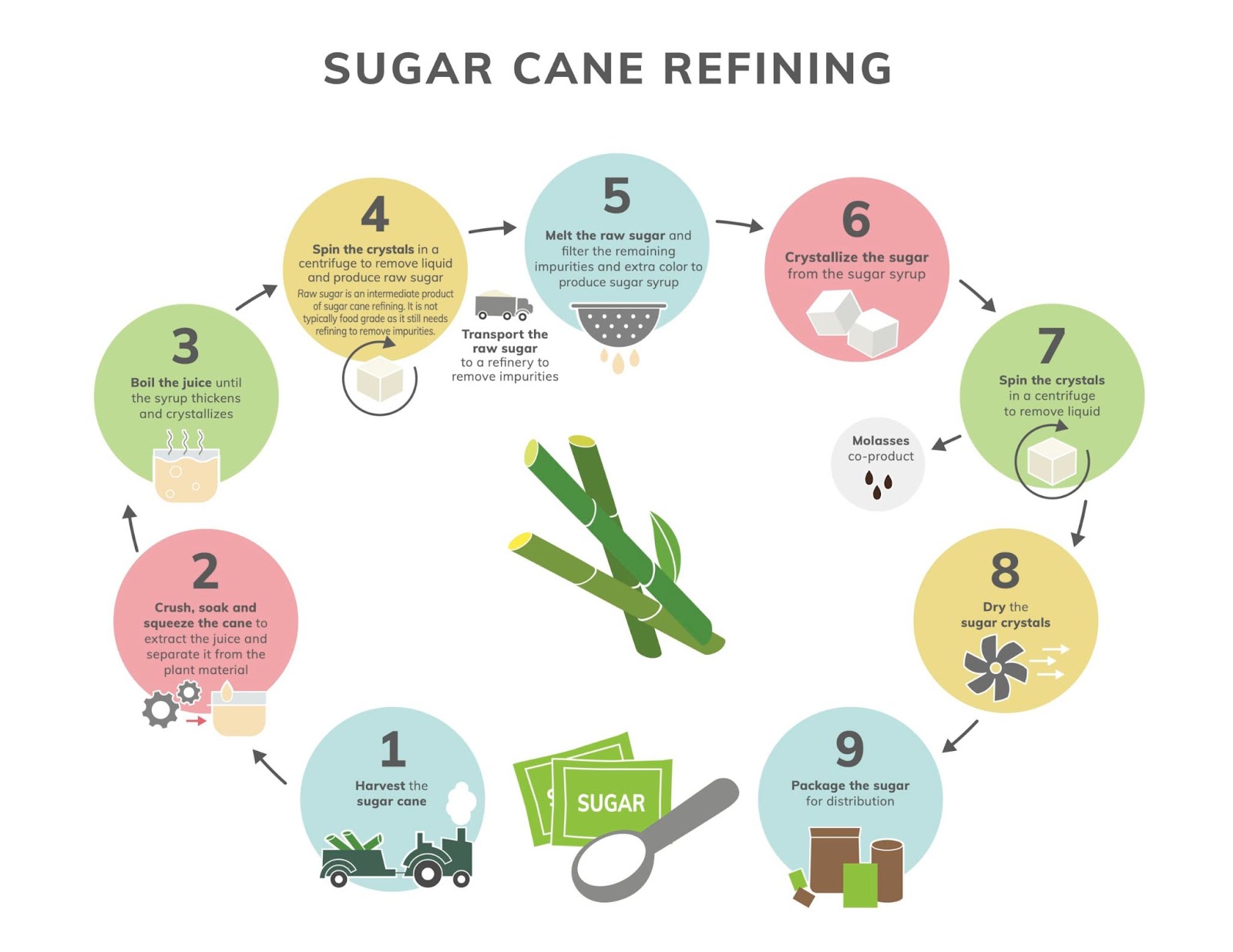 Sugar Cane Refining