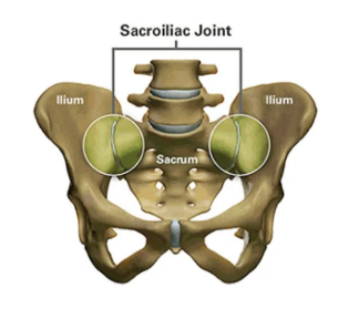 Img Sacroiliac Joint Diagram